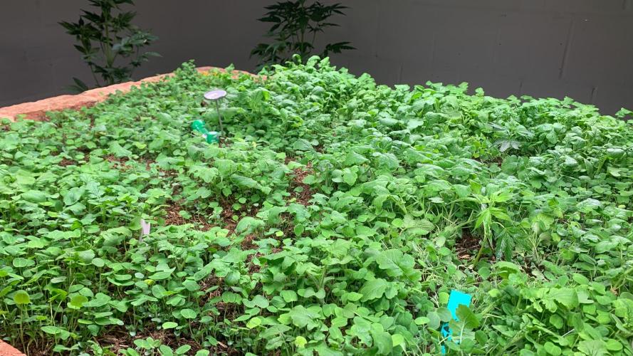 Heltah Skeltah Round #1. Week 1