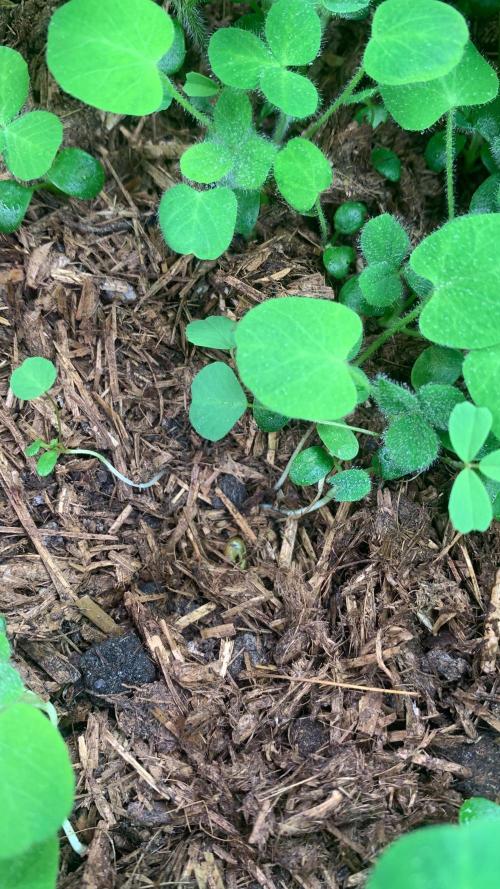 Heltah Skeltah Round #1. Week 1