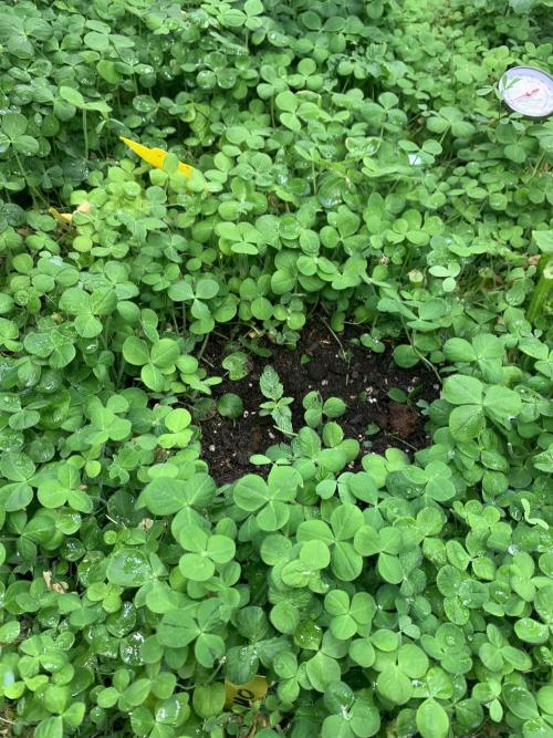 Heltah Skeltah Round #1. Week 3