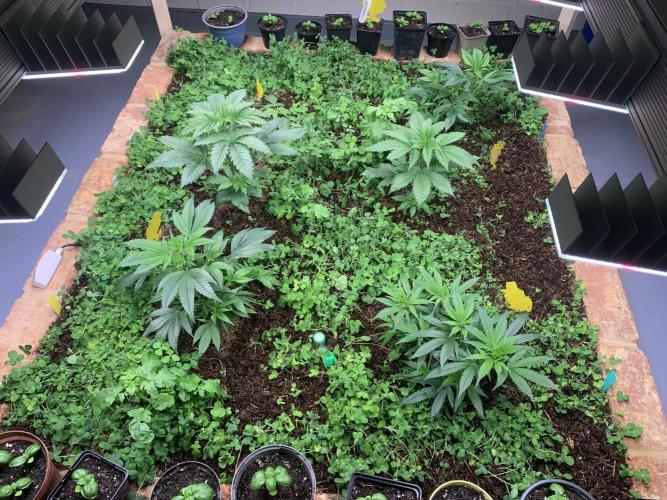 Heltah Skeltah Round #1. Week 4