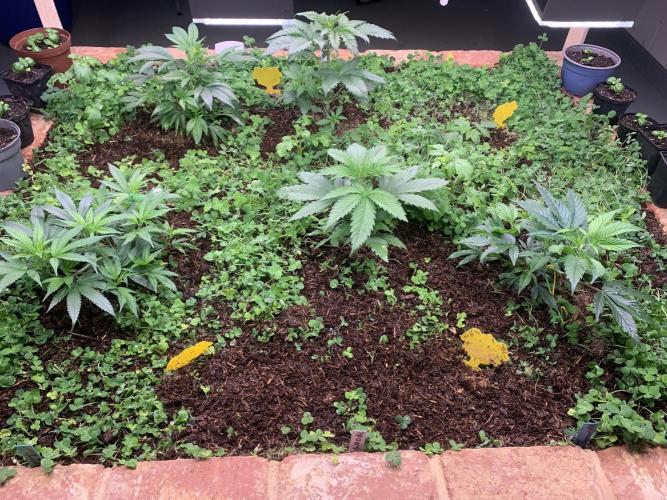 Heltah Skeltah Round #1. Week 4