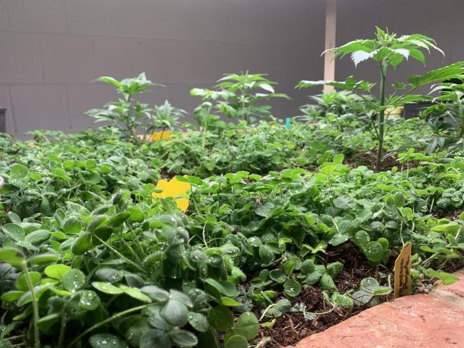 Heltah Skeltah Round #1. Week 4