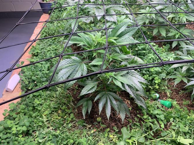 Heltah Skeltah Round #1. Week 5