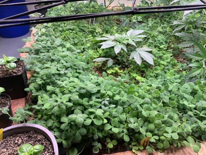 Heltah Skeltah Round #1. Week 5