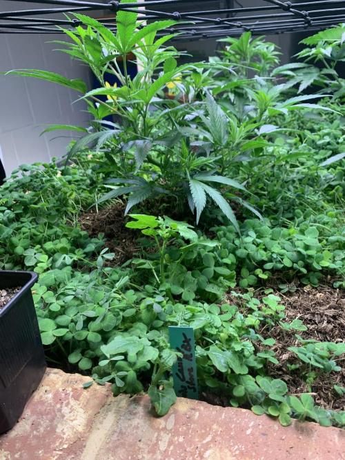 Heltah Skeltah Round #1. Week 5