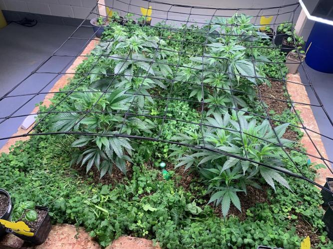 Heltah Skeltah Round #1. Week 5