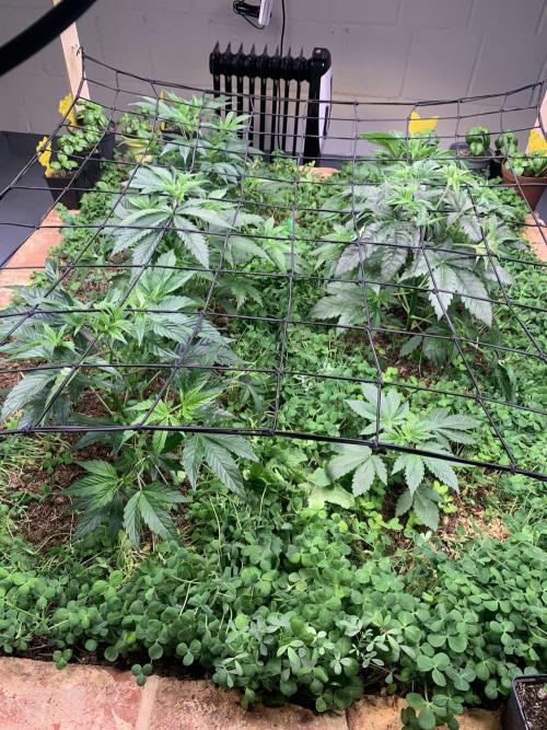 Heltah Skeltah Round #1. Week 5