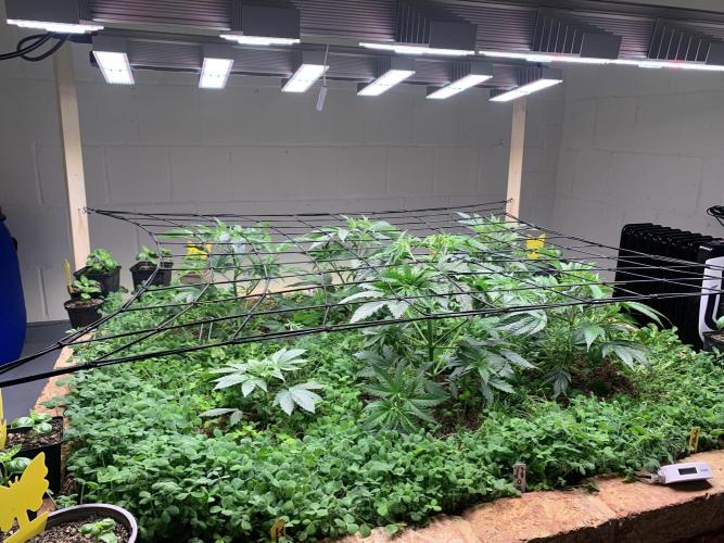 Heltah Skeltah Round #1. Week 5