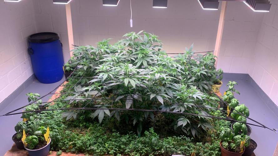 Heltah Skeltah Round #1. Week 6