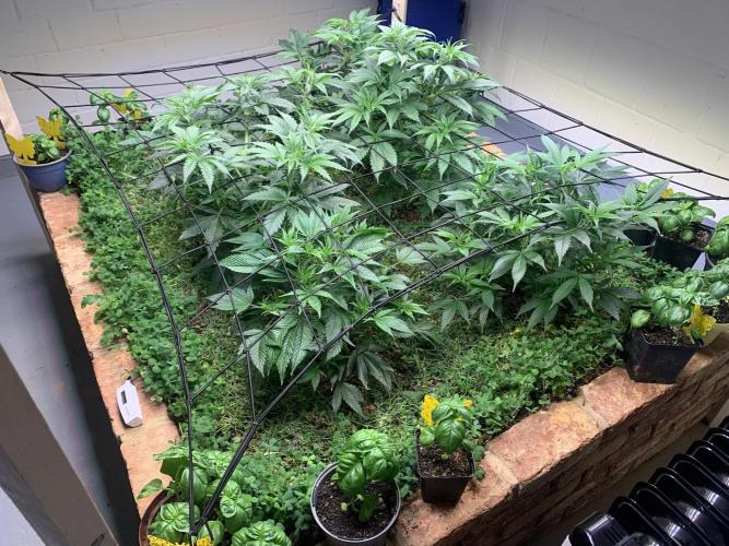 Heltah Skeltah Round #1. Week 6