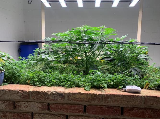 Heltah Skeltah Round #1. Week 6