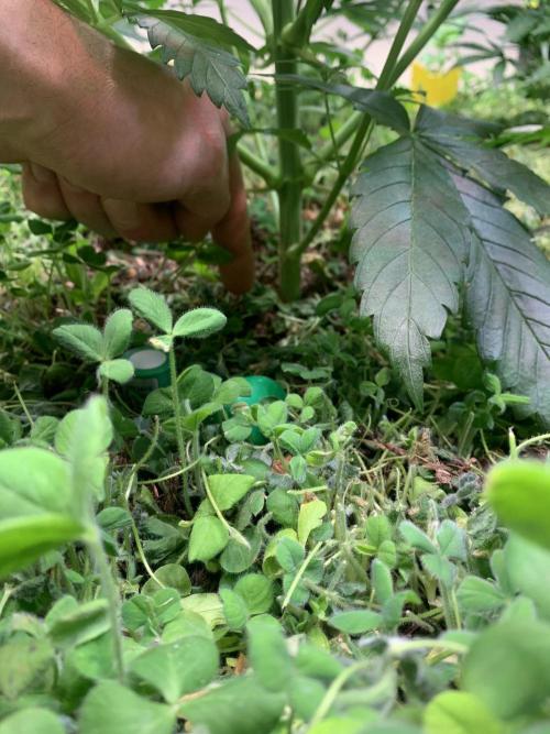 Heltah Skeltah Round #1. Week 6