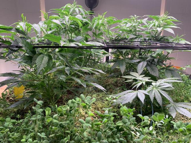 Heltah Skeltah Round #1. Week 6