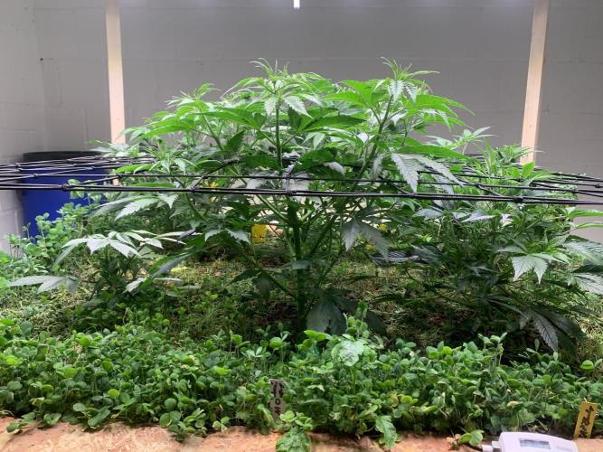 Heltah Skeltah Round #1. Week 6