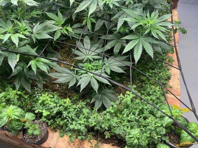 Heltah Skeltah Round #1. Week 7