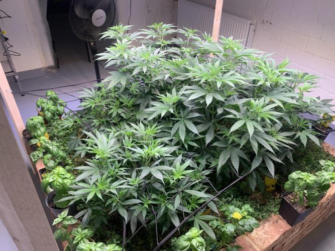 Heltah Skeltah Round #1. Week 7