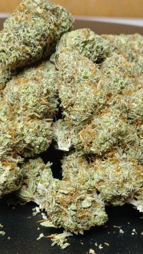 OG Kush-Heirloom