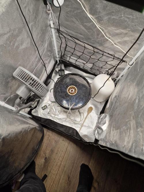 Northern Light DWC. Week 1