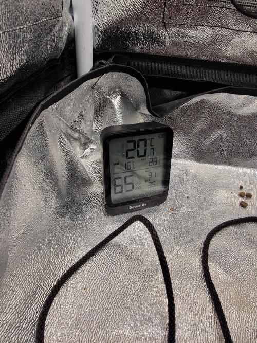 Northern Light DWC. Week 2