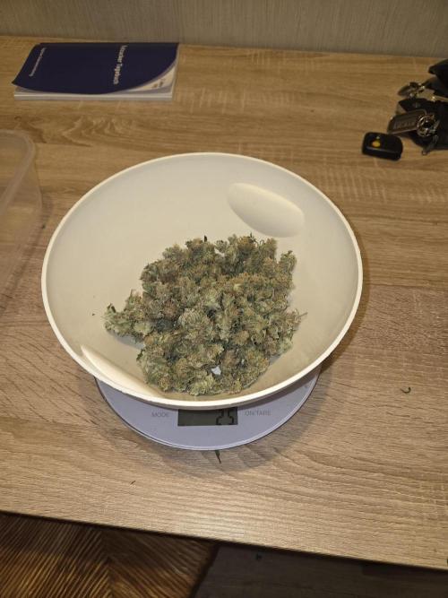 Blue Mystic. Week 15 - Pflanze 1