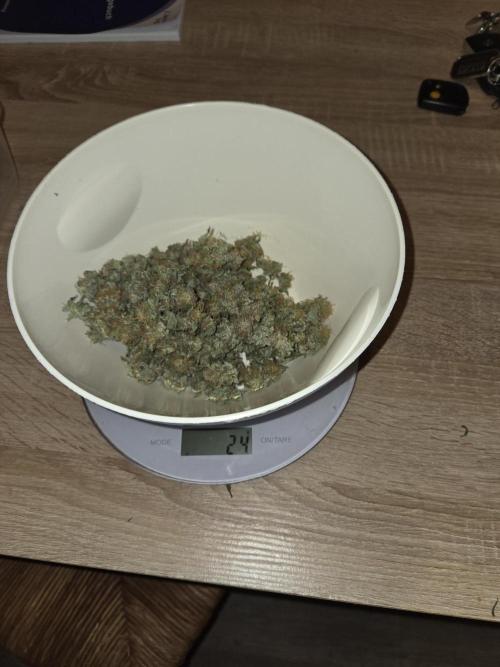 Blue Mystic. Week 15 - Pflanze 2