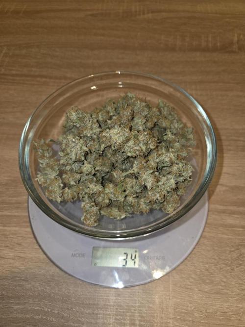 OG Kush. Week 13 - #1