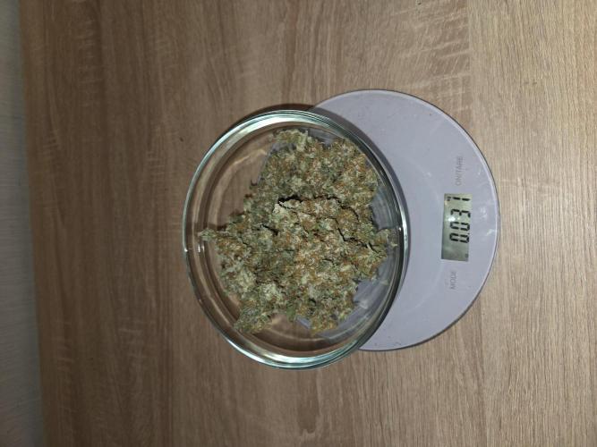 O.G. Kush. Week 13