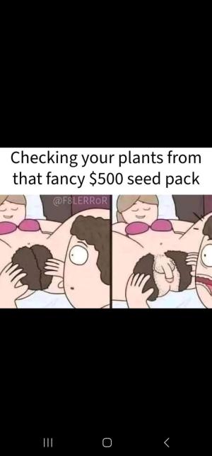 Comment by DonvitoCultivation photo #1