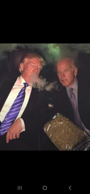 Comment by DonvitoCultivation photo #2