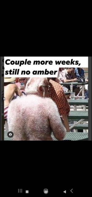 Comment by DonvitoCultivation photo #3