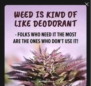 Comment by DonvitoCultivation photo #5