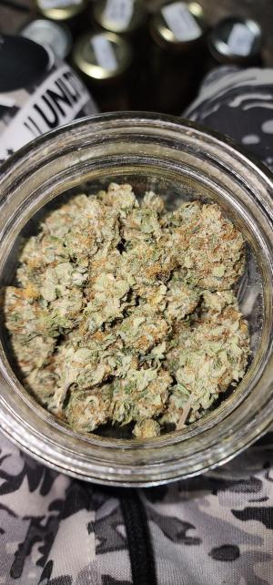 Comment by DonvitoGenetics photo #2