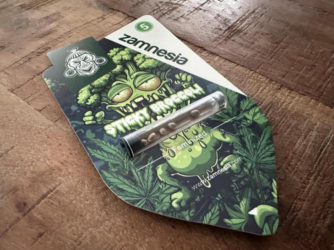 Sticky Broccoli 🥦  Eternity Grow Cup. Week 0