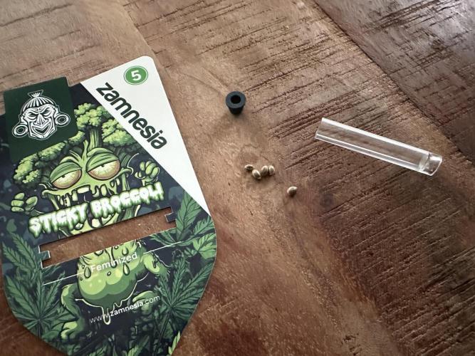 Sticky Broccoli 🥦  Eternity Grow Cup. Week 0