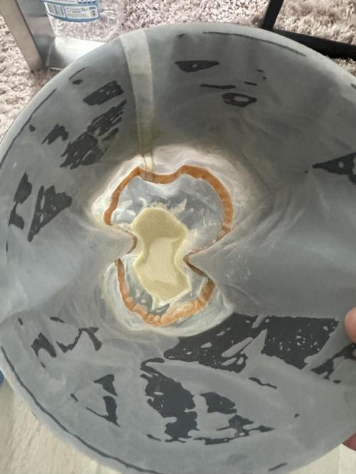 Papaya Cooler 😎. Week 14