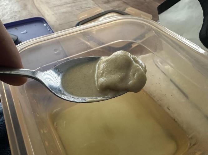 Papaya Cooler 😎. Week 14