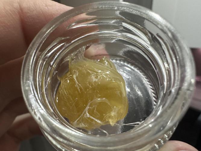 Papaya Cooler 😎. Week 14