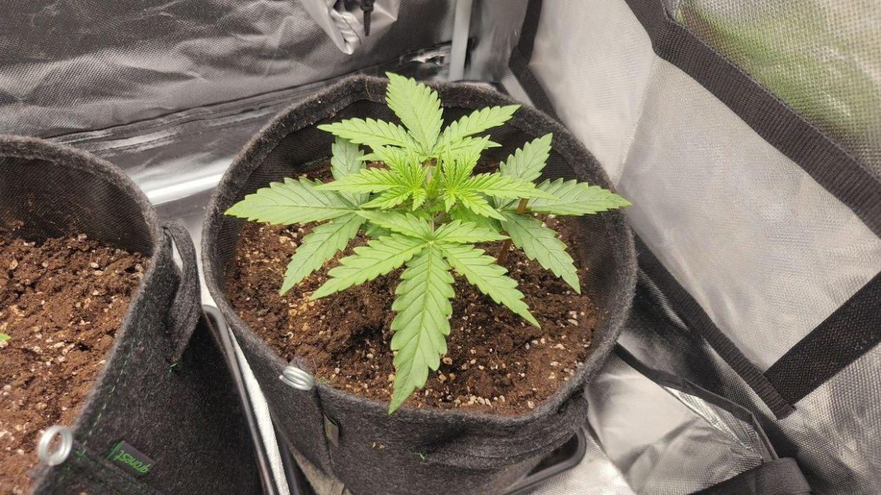 2025-11-07 Quick One. Week 2