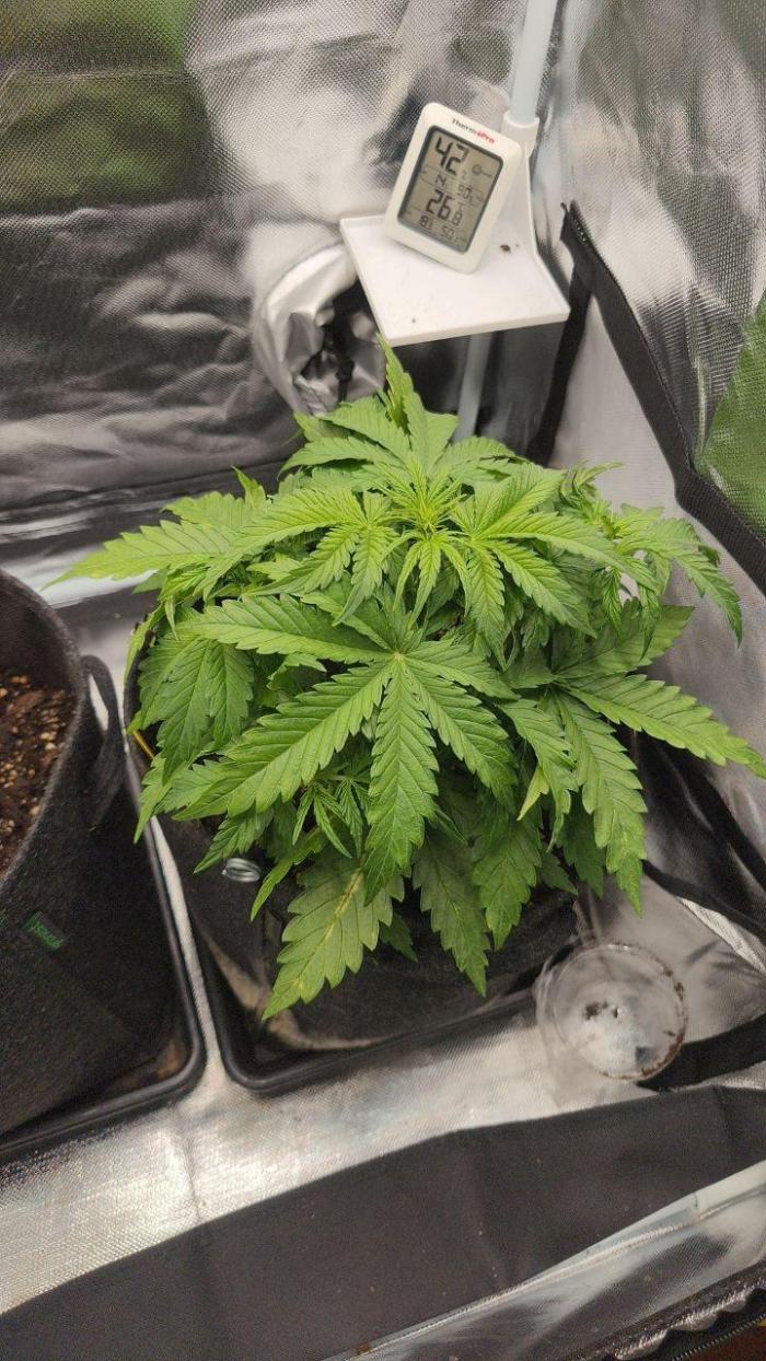 2025-11-07 Quick One. Week 3