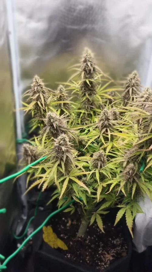 2025-10-06 Epsilon F1