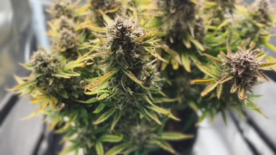 2025-11-07 Quick One