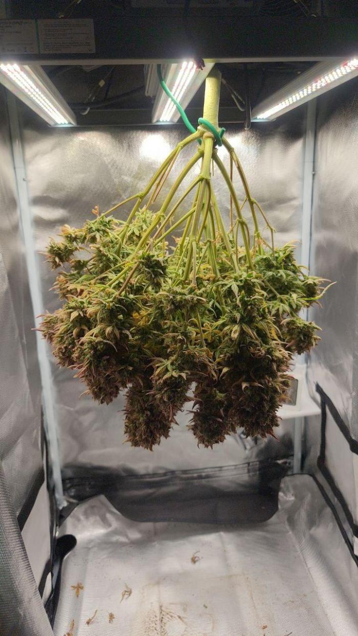 2025-11-07 Quick One. Week 10