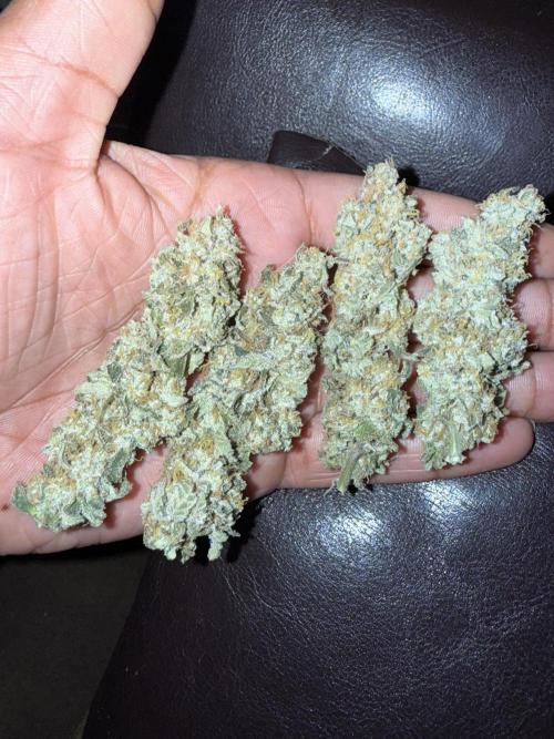 Nana glue 5x5. Week 18