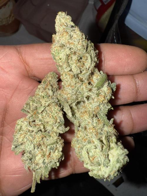 Nana glue 5x5. Week 18