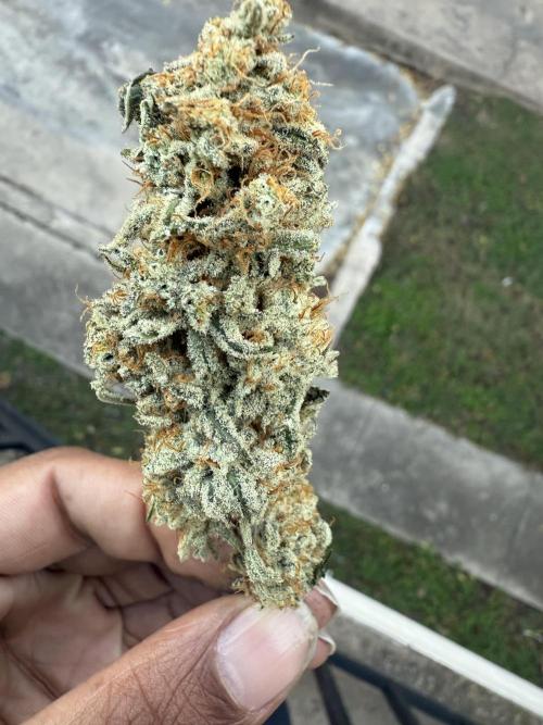 Nana glue 5x5. Week 18