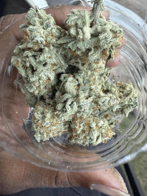 Nana glue 5x5. Week 18