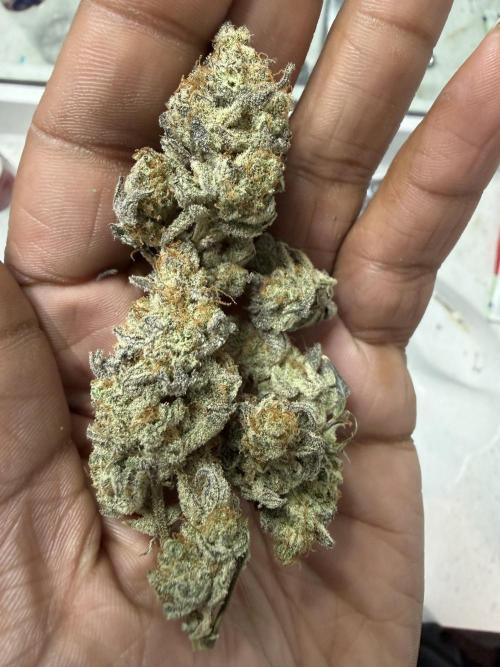 Butter waves n nana glue clones. Week 17