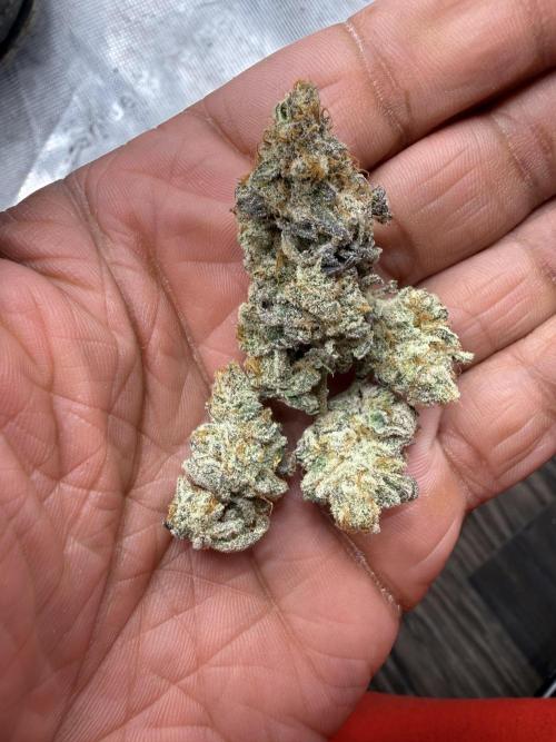 Butter waves n nana glue clones. Week 17