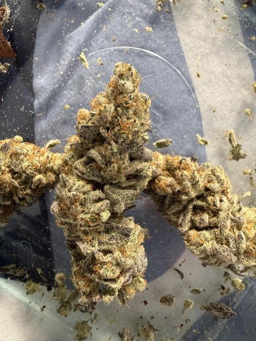 Butter waves n nana glue clones. Week 17