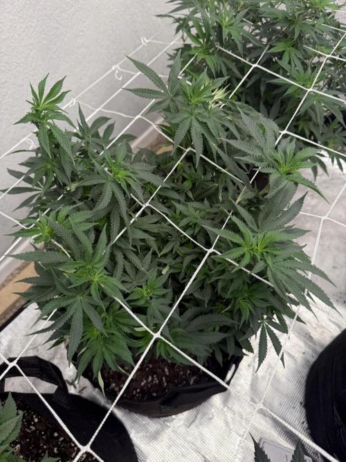 Terp season. Week 9